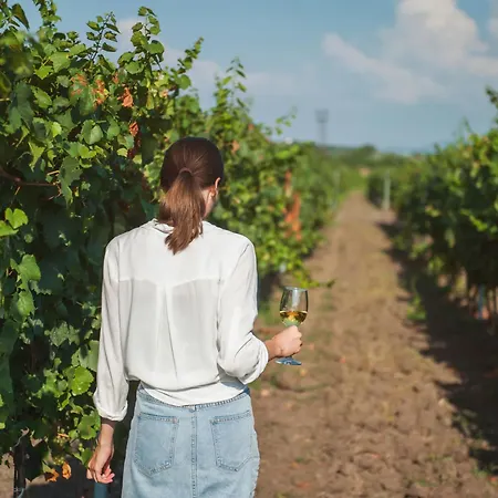 Apartment Sanders Andre Marie *