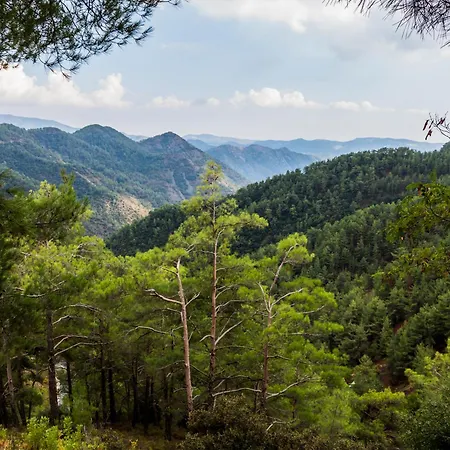 Sanders Andre Marie *